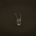 JR's Lock-Down Suppressor for QAD Ultrarest Launcher